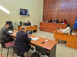audiencia en I. Corte de Apelaciones de Concepción.