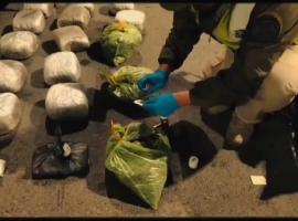 Incautación de droga en carretera