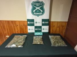 casi 600 gramos de marihuana a granel.