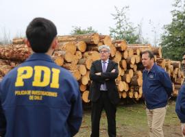 operativo en aserradero de Chillán