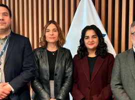 El informático David Salinas, la gerenta de la División de Estudios, Ana María Morales, la ingeniera civil industrial, Valentina Reyes y el abogado, Claudio Ramírez. 