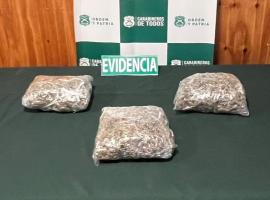 incautación de droga