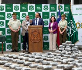 Fiscalía Regional de Valparaíso informa incautación de más de media tonelada de marihuana en Llay Llay