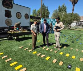 Chañaral: Más de 200 kilos de droga son incautados en dos procedimientos carreteros