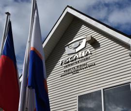 Puerto Cisnes: Fiscalía obtiene condena contra imputado por homicidio frustrado y lesiones graves    