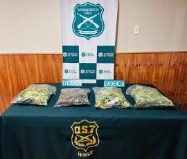 Fiscalía obtiene prisión preventiva para madre e hijo por tráfico ilícito de drogas en Pemuco