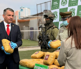 Investigación neutralizó red de venta de drogas y detectó acopio de 201 kilos marihuana en Calama