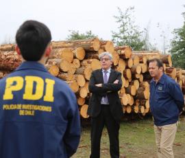 Sistema de Análisis Criminal de Fiscalía y PDI desarticulan la mayor asociación delictiva dedicada al robo de madera en Ñuble