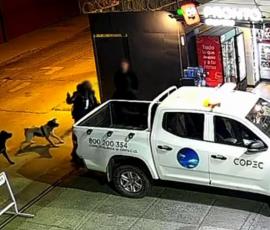 Copiapó: Fiscalía obtuvo prisión preventiva de imputado  por homicidio tentado y delitos de la Ley de Armas 